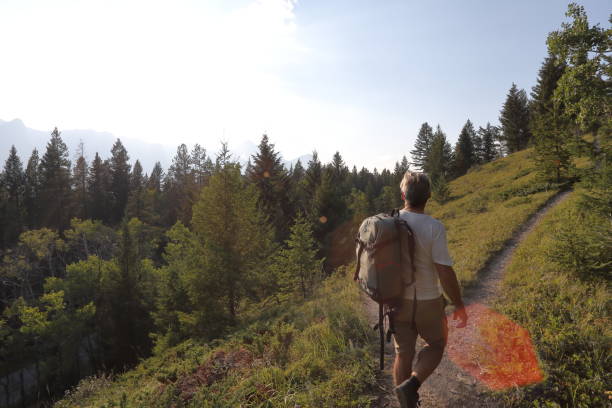 istock Man hiking at a crossroad in the path, mountains 1036773830