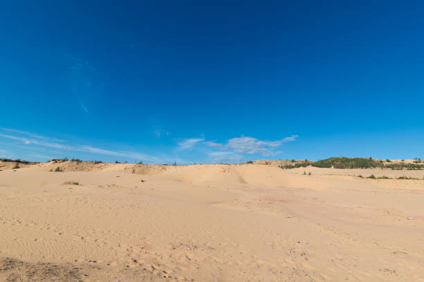 istock Quy Nhon beach in sunrise 1036780584