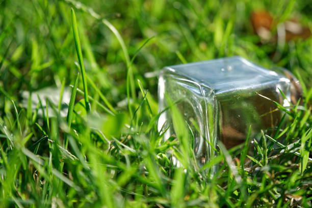 bouteille avec des pièces se trouve sur le banc de gazon, pot transparent - transparent ideas lid glass photos et images de collection