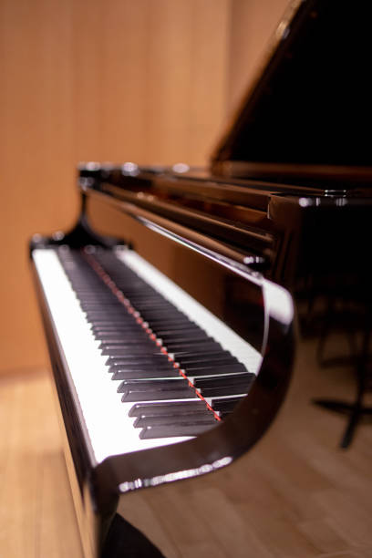 istock Piano in concert hall 1036784150