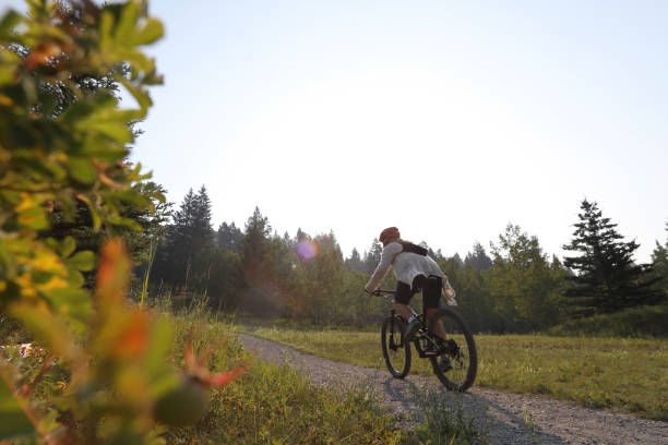 istock Female mountain biker travels along footpath 1036785000