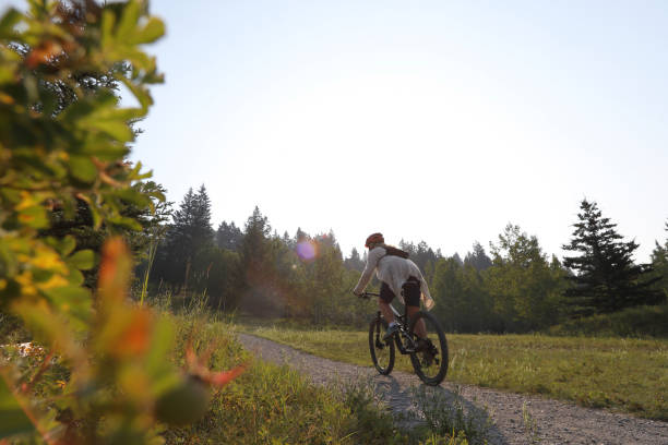 istock Female mountain biker travels along footpath 1036785004