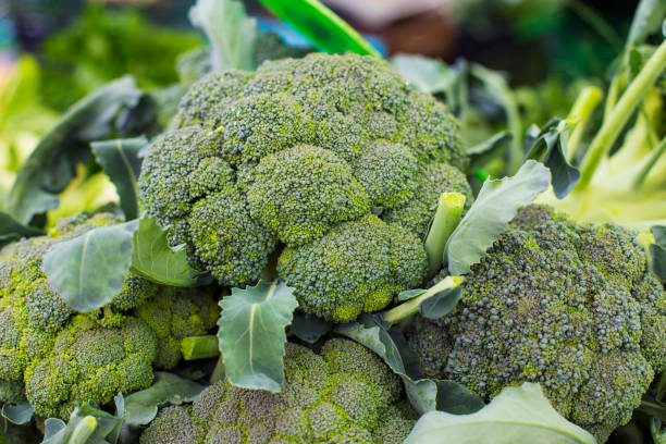 istock Fresh broccoli vegetable on the market 1036787790