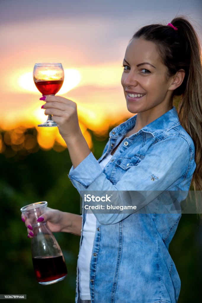 Woman in Vineyard Harvesting Grapes 2015 Stock Photo