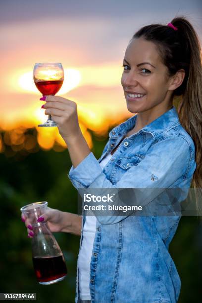 Woman In Vineyard Harvesting Grapes Stock Photo - Download Image Now - 2015, Adult, Agriculture