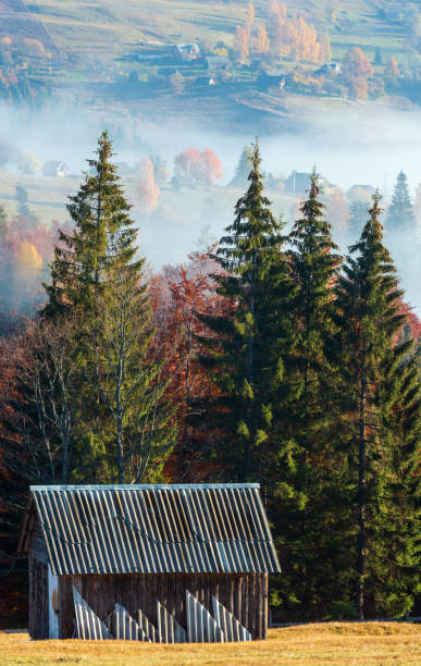 istock Autumn Carpathian village, Ukraine. 1036795252