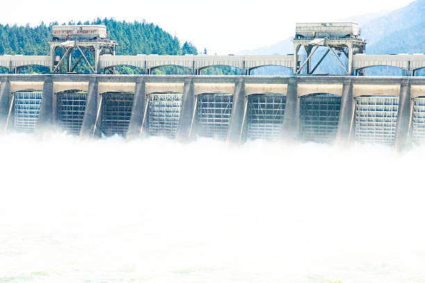 istock Bonnevile Dam Oregon Water Power 1036798650