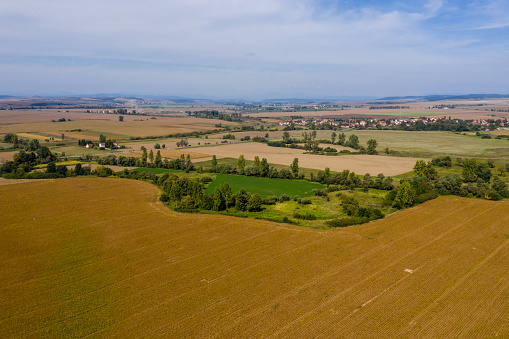 corn, harvester, drone view