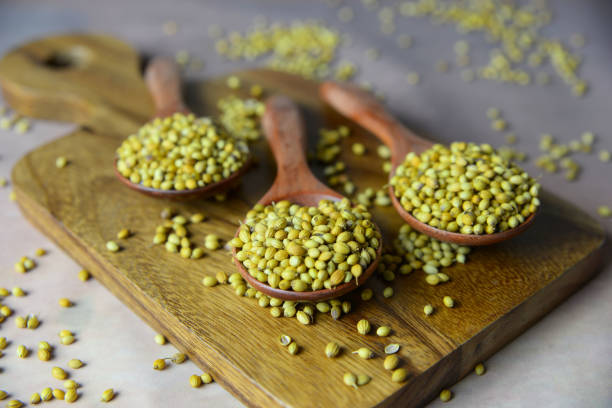 istock Coriander seeds in a wooden spoon 1036804290