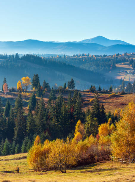 istock First sunrise rays of sun in Carpathian mountains. 1036809876