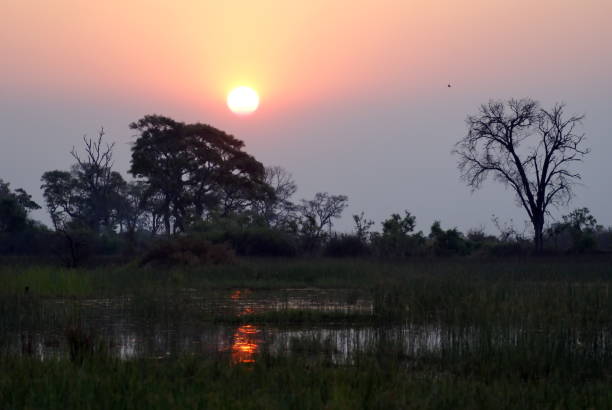 istock Sunset over a wetland 1036810508