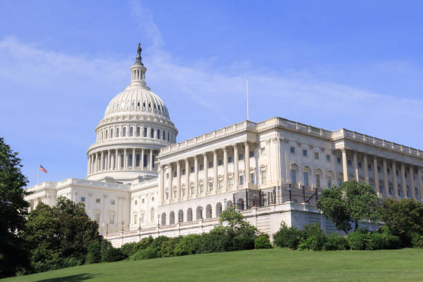 istock United States Capitol Building West Side/South Wing 1036814322