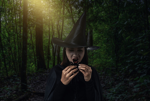 Portrait of woman in black Scary witch halloween costume holding black spider with moonlight in a dark forest