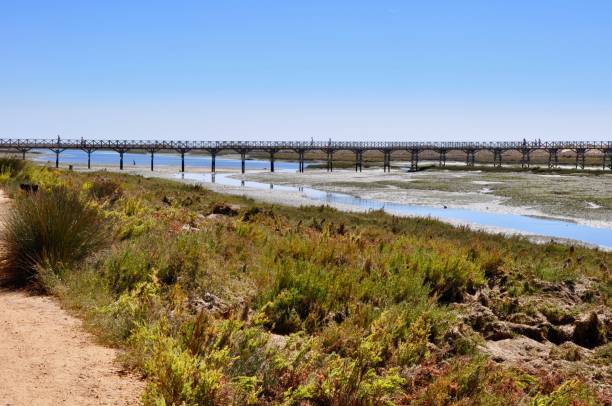 istock Scenic View Of Bridge Against Clear Sky 1036823936