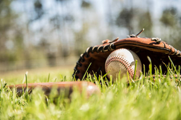 бейсбольный сезон здесь.  летучая мышь, перчатка и мяч на поле. - baseball spring training baseballs sports glove стоковые фото и изображения