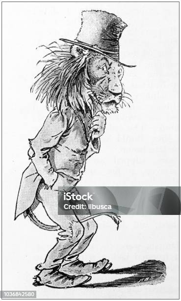 Humanized Animals Illustrations Lion Stock Illustration - Download Image Now - Hat, Lion - Feline, 19th Century