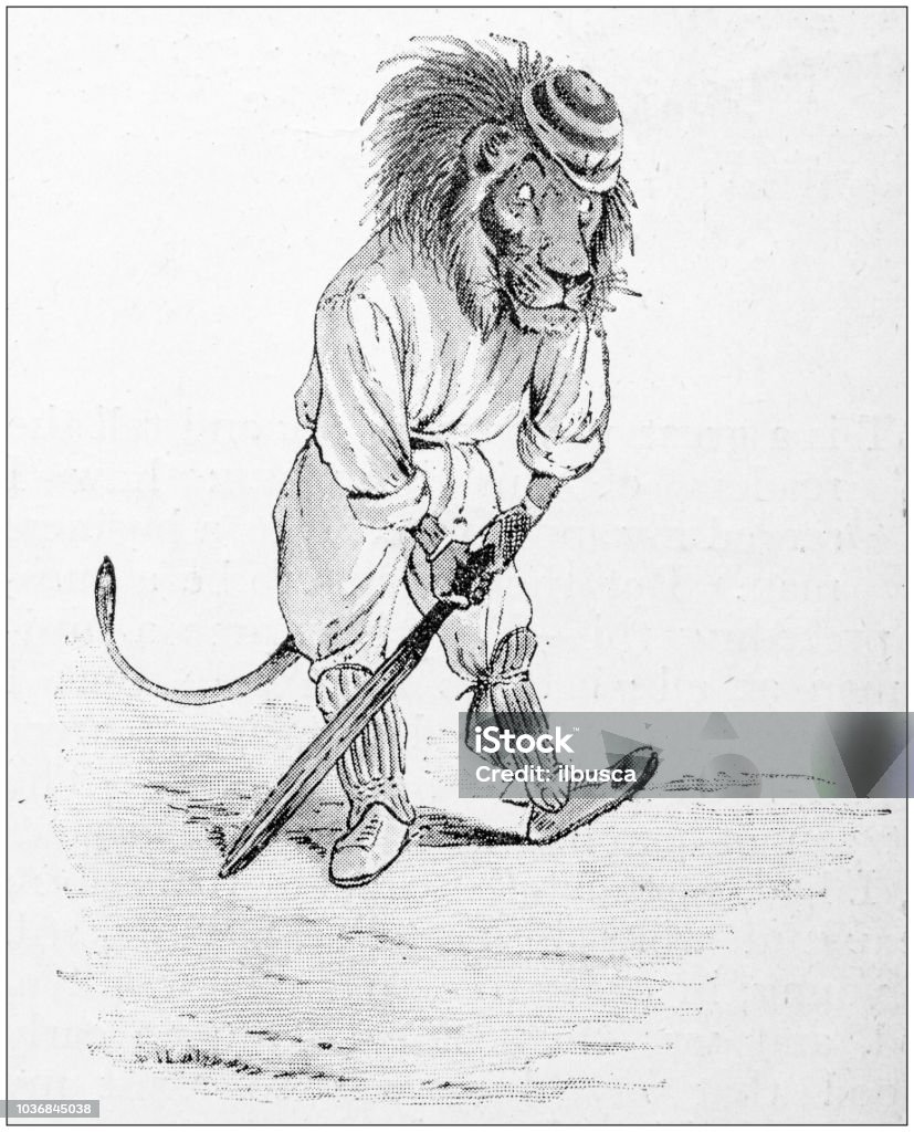Humanized Animals Illustrations Cricket Bears Vs Lions Stock Illustration -  Download Image Now - iStock