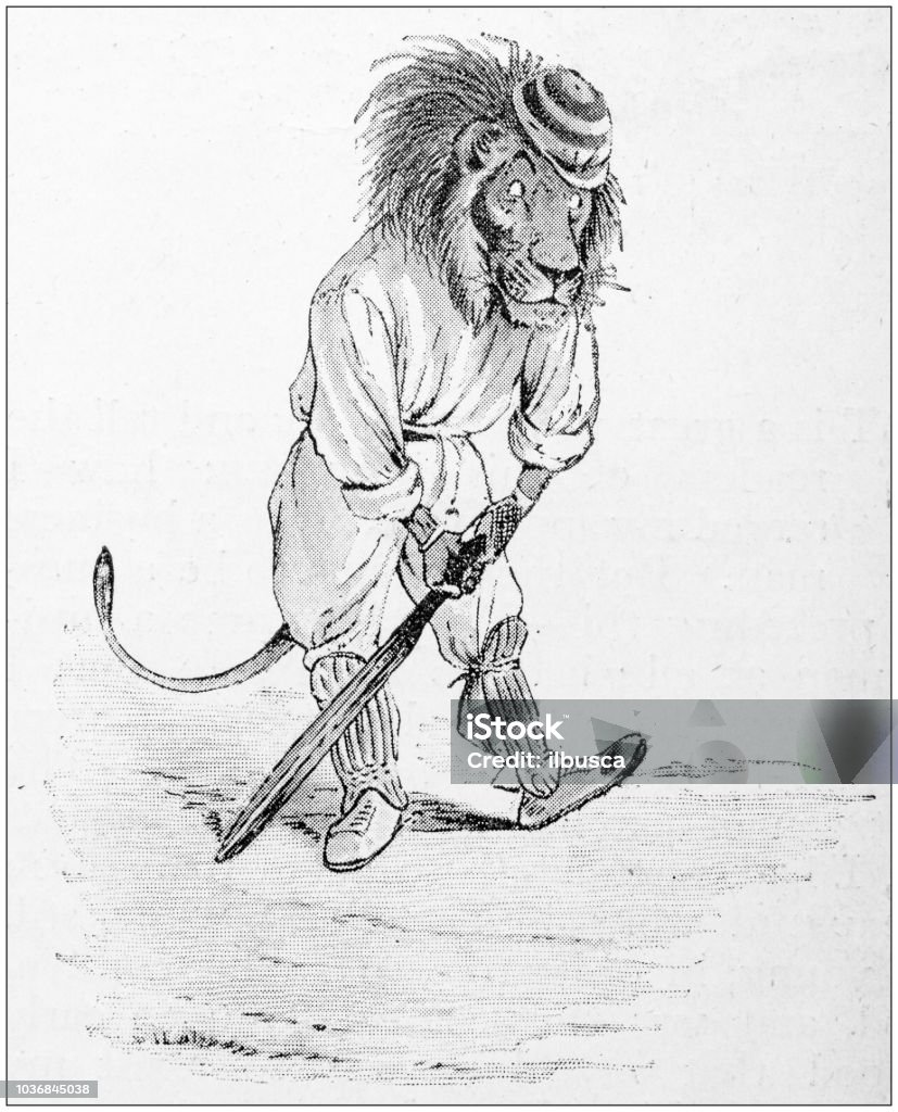 Humanized Animals Illustrations Cricket Bears Vs Lions Stock Illustration - Download Image Now - iStock Humanized Animals Illustrations Cricket Bears Vs Lions Stock Illustration - Download Image Now - iStock