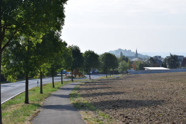 istock sunny avenue in autumn 1036846508
