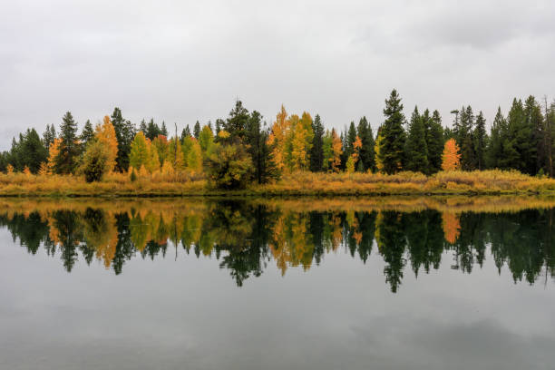 istock Autumn Reflection in the Tetons 1036861232