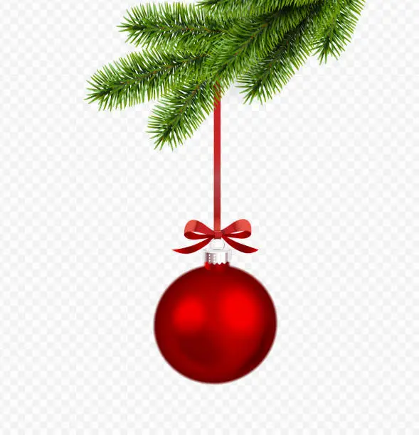 Vector illustration of Vector Christmas decoration with pine branch isolated on transparent background.