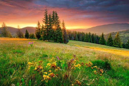 Morning landscape. Green meadow and colorful sky at the sunrise. Mountains with green hills in summer. Tranquil background. Vivid mountains nature.