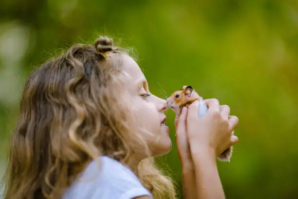 Photography of a cute young girl with curly hair, Eskimo-kissing a dwarf hamster, a guinea pig, holding it in her cute little hands. The mouse is white and brown. The young female has blond hair. She is bonding with the animal. The young adult holds the mouse tight in her hands. She shows emotions of love and happiness. The communication between the human and the animal is carefree and gentle. The photo is taken outdoors. The background is blurred, the focus is on the foreground. It's bokeh. The day is sunny, the photo shoot is happening in nature. The little girl is very cute. The hamster is very small.