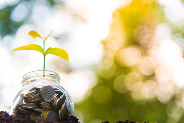 istock Seedlings planted in glass with savings coins. Savings Ideas 1036885986