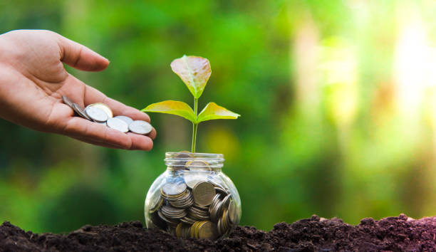 istock Seedlings planted in glass with savings coins. Savings Ideas 1036885996