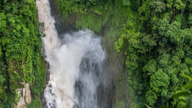 istock Aerial view river flowing in the forest, river in tropical rainforest. 1036890980