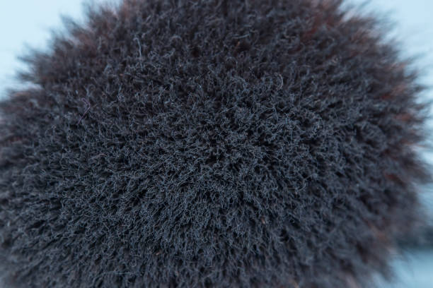 istock Close up for women's makeup brush. 1036893252