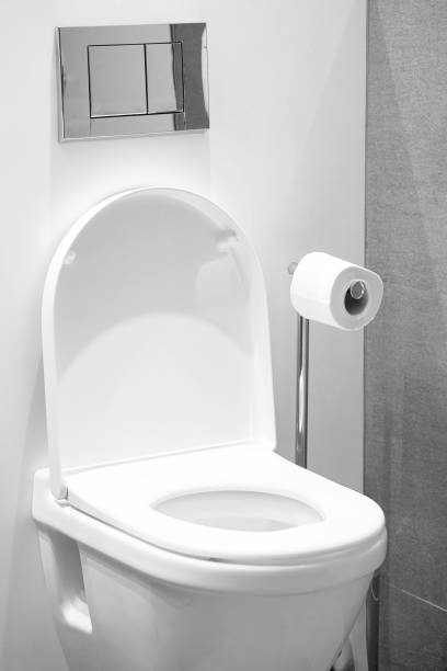 istock White toilet in the bathroom 1036893536