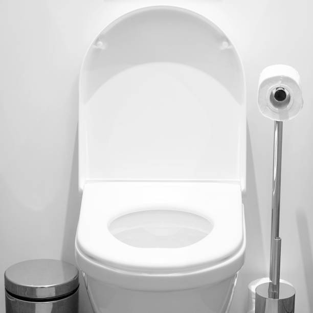 istock White toilet in the bathroom 1036893636