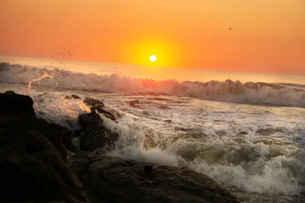 A perfect sunrise as the waves are crashing against the rocks an the birds flying overhead at Marineland in St.Augustine, Florida on a summer day.