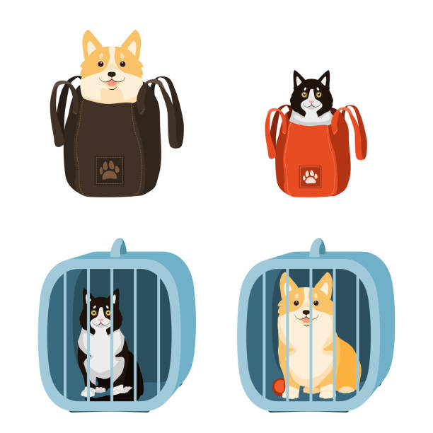 Travelling with pets. Vector illustration of dog and cat in a bag and pet cage. Travelling with pets. Vector illustration of dog and cat in a bag and pet cage, carriage of dogs and cats. transportation cage stock illustrations