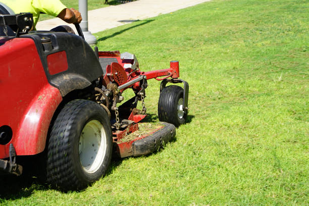 auto lawn mower - lawn mower red plant lawn imagens e fotografias de stock