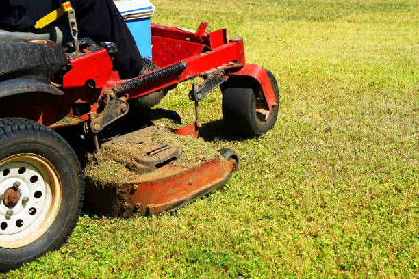 자동 잔디 깍는 기계 - rotary mower 뉴스 사진 이미지