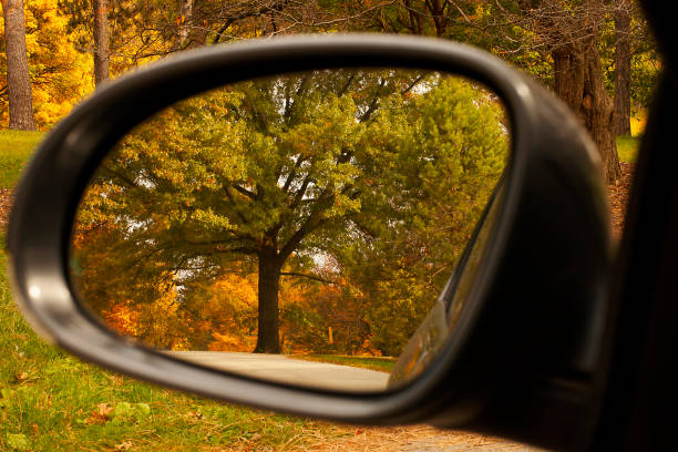 un colorido reflejo de caída en un espejo de coche en el morton arboretum en lisle, illinois. - lisle fotografías e imágenes de stock