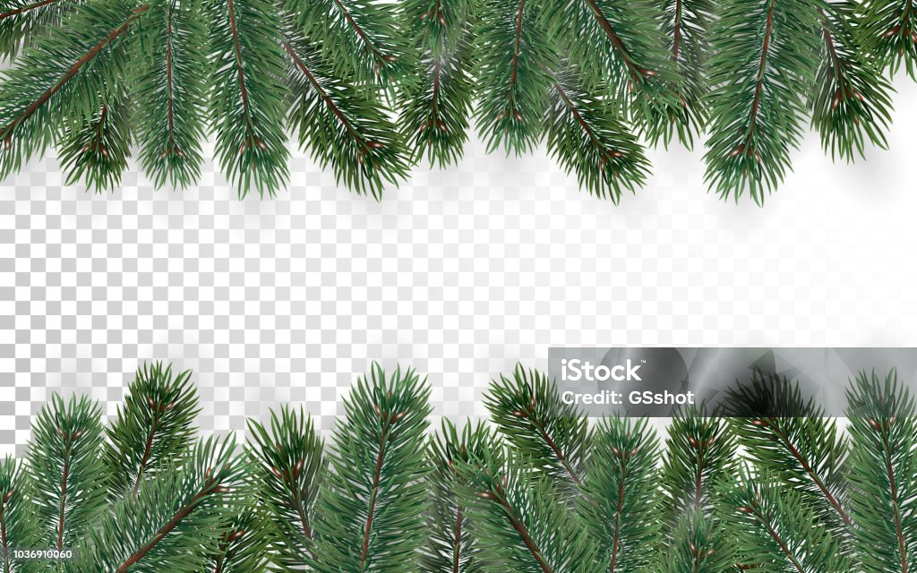 Christmas Tree Branches Background On Transparent Background Stock  Illustration - Download Image Now - iStock