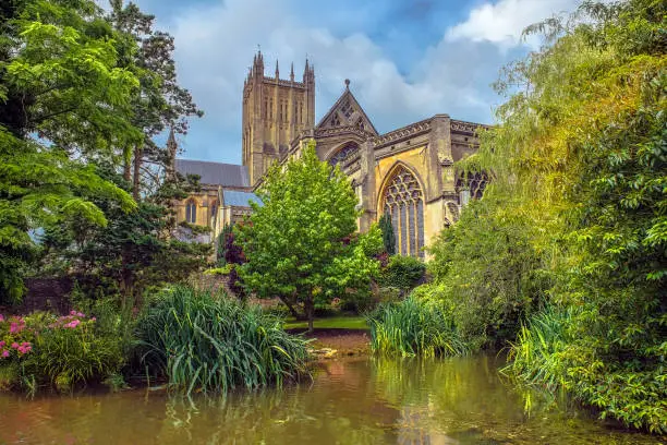 Wells Cathedral (Cathedral Church of Saint Andrew), Wells Abbey and park on sunny day, Somerset, England