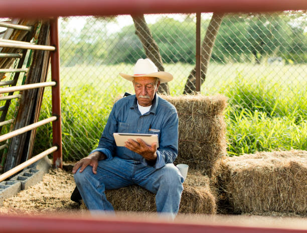 istock Senior mexican man sitting on haystacks and using digital tablet 1036924880