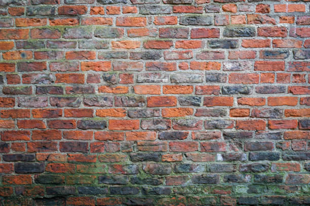 Old red brick wall with green fungus on the bottom. stock photo