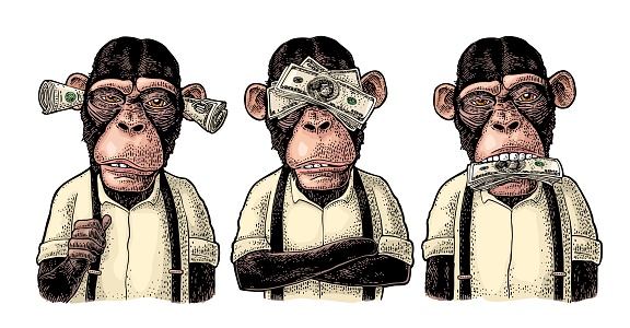Three wise monkeys with money on ears, eyes, mouth. Not see, not hear, not speak. Vintage color engraving illustration for poster, web, t-shirt, tattoo. Isolated on white background