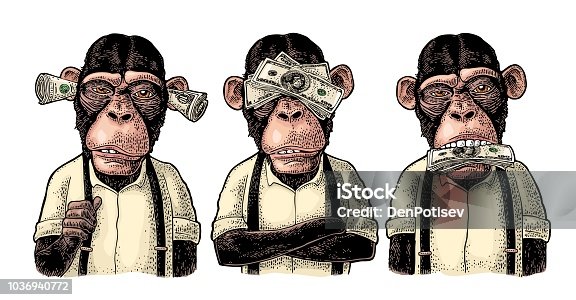 910 Three Wise Monkeys Illustrations & Clip Art - iStock | Three wise  monkeys man