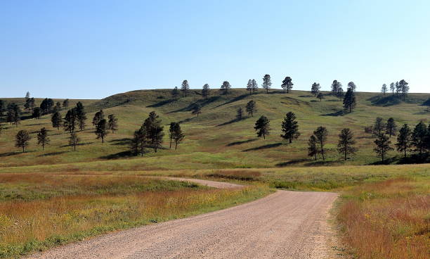istock Beautiful Road through the Black Hills 1036950644