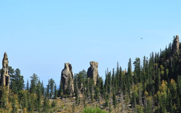 istock Dramatic Mountain Ridge on Little Devils Tower Trail in the Needles Section of Custer State Park 1036950874
