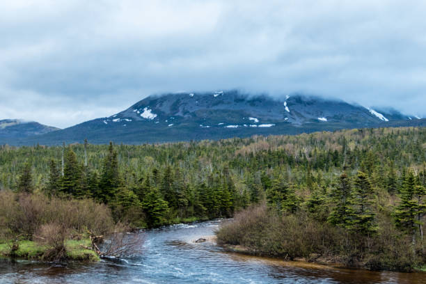 istock Gros Morne Mountain, Gros Morne National Park, Newfoundland, Canada 1036954152