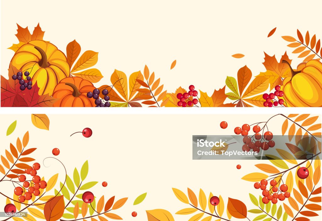 Thanksgiving background with space for text, horizontal banners with orange pumpkins, leaves of maple and rowan vector Illustration Thanksgiving background with space for text, horizontal banners with orange pumpkins, leaves of maple and rowan vector Illustration, web design November stock vector
