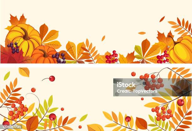 Thanksgiving Background With Space For Text Horizontal Banners With Orange Pumpkins Leaves Of Maple And Rowan Vector Illustration Stock Illustration - Download Image Now