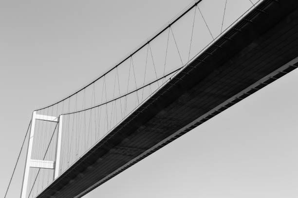 istock Bosphorus Bridge in Istanbul. Toned black and white 1036985126